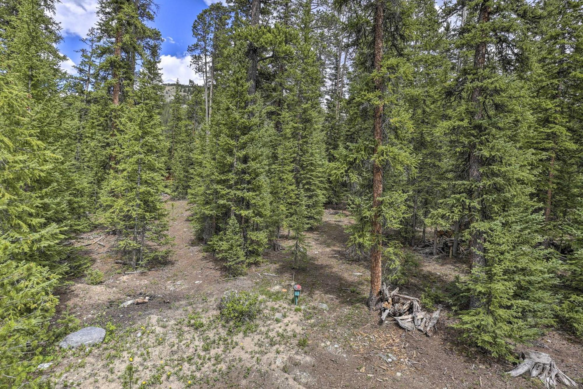 Cozy Breckenridge Cabin With Deck, 8 Mi To Gondola Extérieur photo